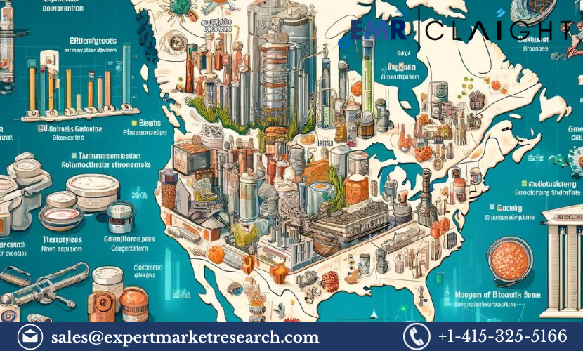 Read more about the article North America Protein Expression Market Report and Forecast 2024-2032