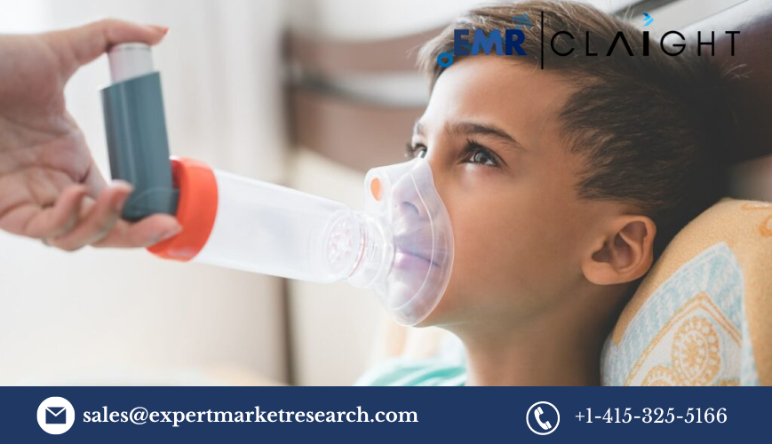 Read more about the article North America Respiratory Inhalers Market Report and Forecast 2024-2032