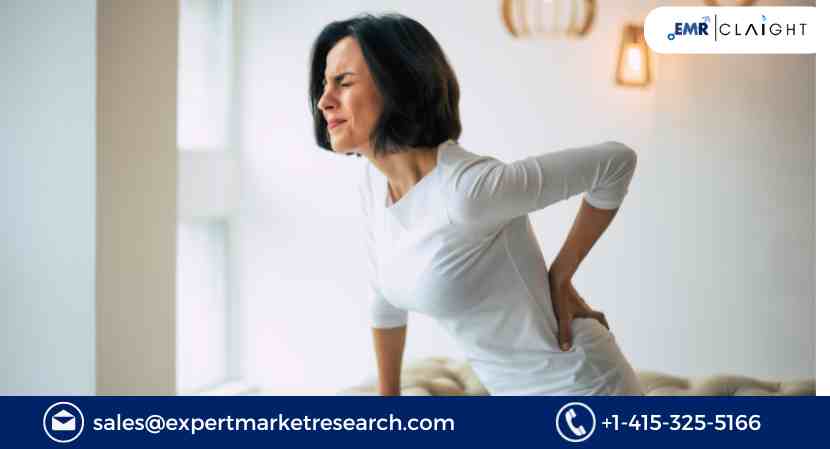 Read more about the article Global Chronic Lower Back Pain Treatment Market Size, Share, Trends, Growth, Analysis, Report and Forecast 2024-2032