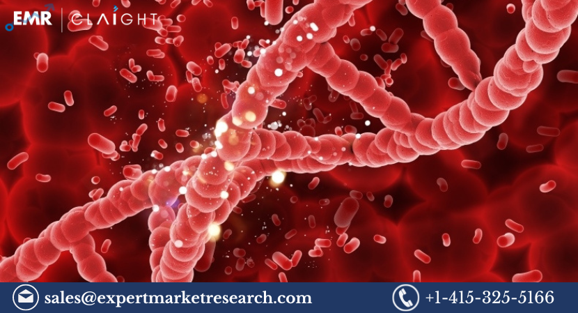 Read more about the article Rare Haematology Disorders Market Size, Share, Trends, Report and Forecast 2024-2032