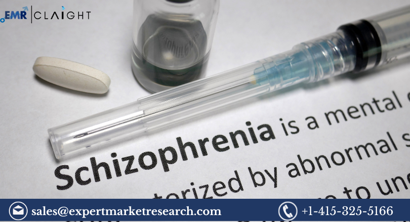 Read more about the article Global Schizophrenia Drugs Market Size, Share, Trends, Growth, Analysis, Report and Forecast 2024-2032