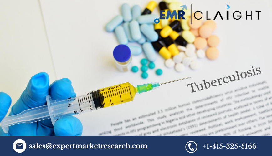 Read more about the article Tuberculosis Treatment Market Report and Forecast 2024-2032