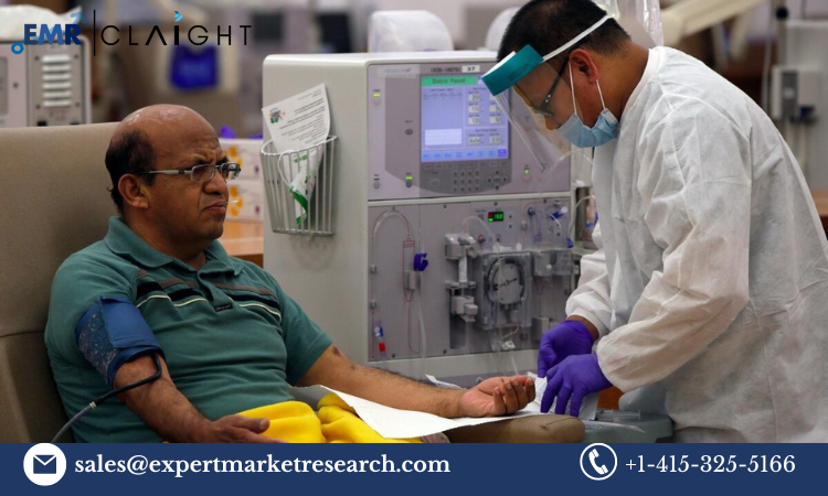 Read more about the article United States Dialysis Services Market Report and Forecast 2024-2032