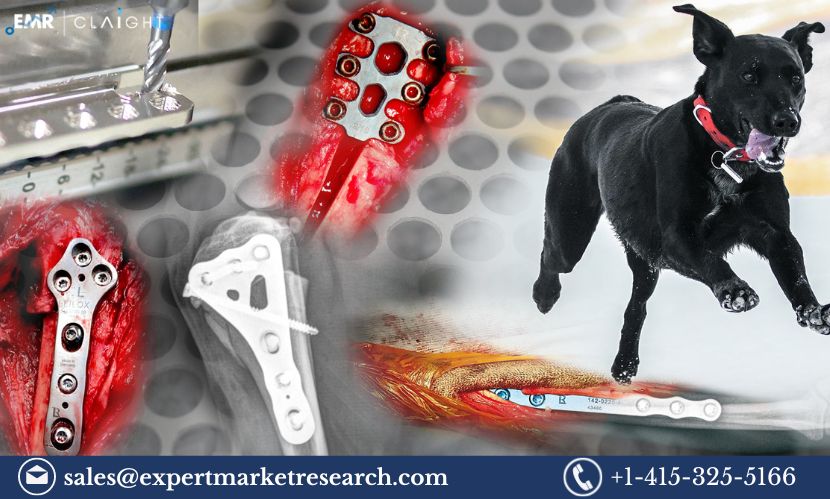 Read more about the article Veterinary Orthopaedic Implants Market Share, Size, Growth, Report and Forecast 2024-2032