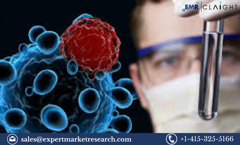 Read more about the article Cell and Gene Therapy Market Size, Share, Report and Forecast 2024-2032