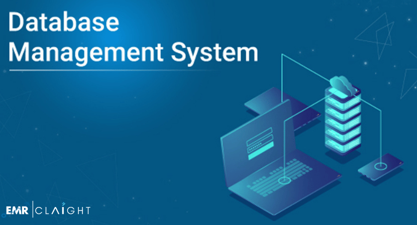 Read more about the article Database Management System (DBMS) Market Size & Share Analysis 2024-2032