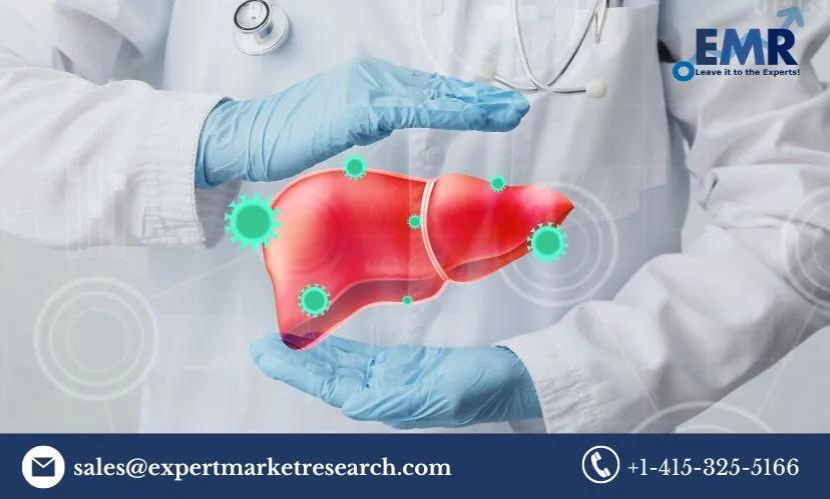 Read more about the article Global Liver Cancer Therapeutics Market Report and Forecast 2024-2032