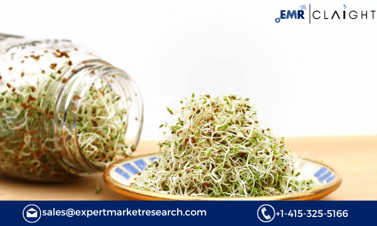 Read more about the article Australia Alfalfa Market Size, Share, Industry Growth, Outlook, Report and Forecast 2024-2032