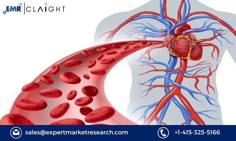 Read more about the article Cardiometabolic Disease Market Size, Share, Trends Report and Forecast 2024-2032