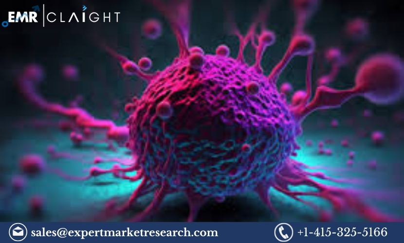 Read more about the article Cell Isolation Market Size, Share, Report and Forecast 2024-2032