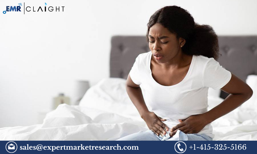 Read more about the article Endometriosis Treatment Market Size, Share, Growth, Report and Forecast 2024-2032