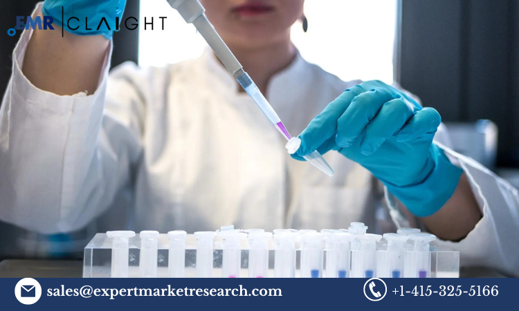 Read more about the article Glycomics Market Size, Share, Report and Forecast 2024-2032