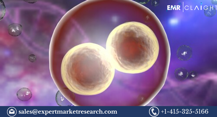 Read more about the article Human Embryonic Stem Cell Market Size, Share, Growth, Report and Forecast 2024-2032