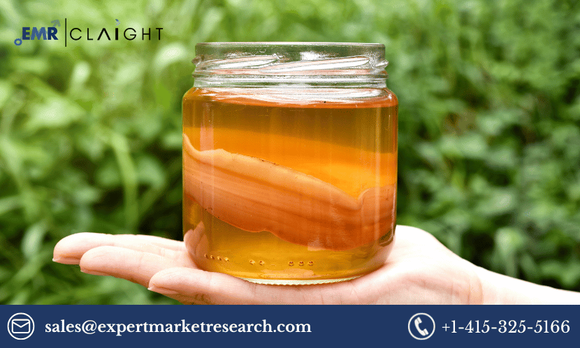 Read more about the article Global Kombucha Tea Market Size, Share, Growth, Demand, Growth, Report and Forecast 2024-2032