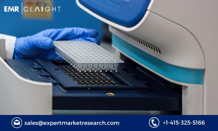 Read more about the article Australia and New Zealand PCR Systems Market Report and Forecast 2024-2032