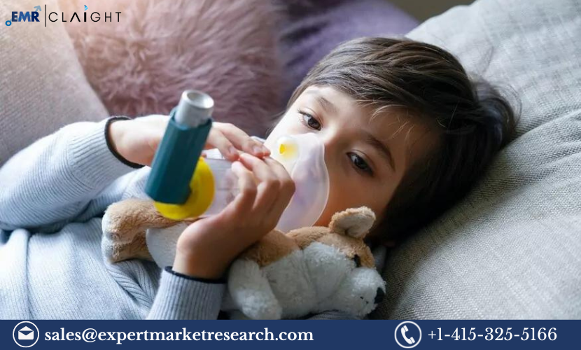 Read more about the article Nebulizer Market Size, Share, Growth, Report and Forecast 2024-2032