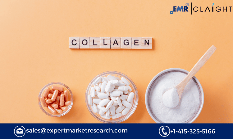 Read more about the article North America Collagen Market Size, Share, Growth Report and Forecast 2024-2032