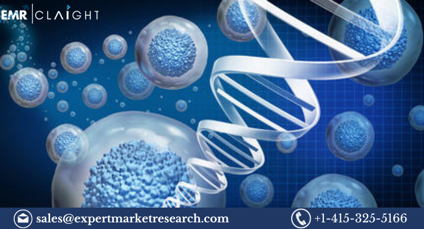 Read more about the article Regenerative Medicine Market Size, Share, Growth, Report and Forecast 2024-2032