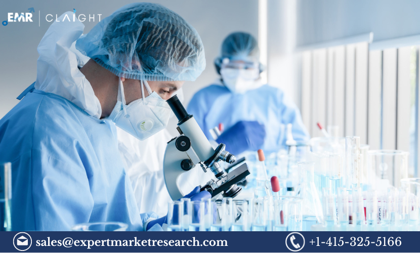 Read more about the article Saudi Arabia Diagnostic Labs Market Report and Forecast 2024-2032