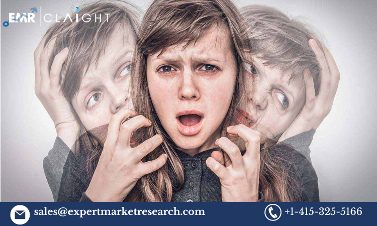 Read more about the article Schizophrenia Market Size, Share, Trends, Report and Forecast 2024-2032