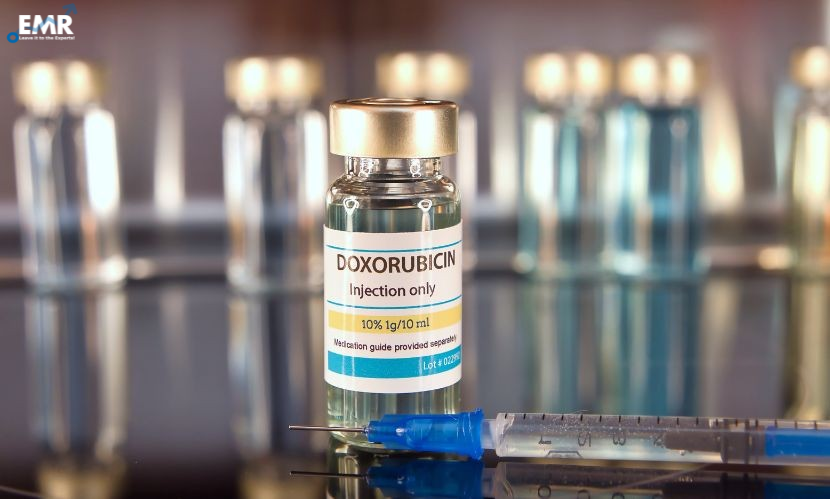 Read more about the article Global Doxorubicin Market Report and Forecast 2024-2032