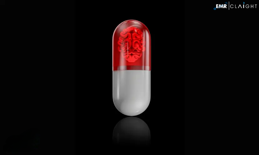 Read more about the article Global Smart Pills Market Report and Forecast 2024-2032