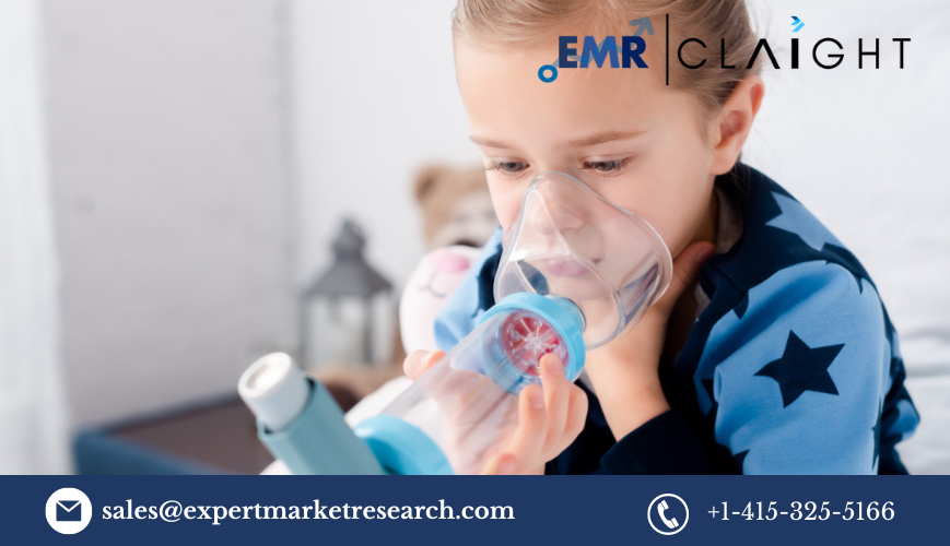 Read more about the article Asthma Spacers Market Size, Share, Report and Forecast 2024-2032