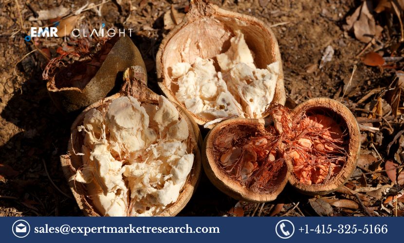 Read more about the article Baobab Ingredient Market Size, Share, Trends, Report and Forecast 2024-2032