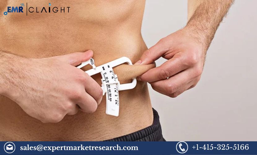 Read more about the article Global Body Fat Measurement Market Size, Share, Analysis, Report and Forecast 2024-2032