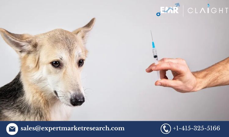 Read more about the article Global Veterinary Vaccines Market Size, Share, Trends, Report and Forecast 2024-2032