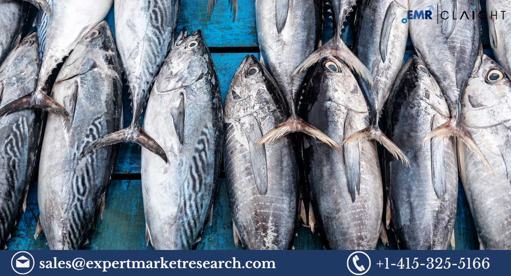 Read more about the article Global Tuna Market Size, Growth and Forecast 2024-2032