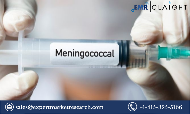 Read more about the article Meningococcal Vaccines Market Size, Share, Report and Forecast 2024-2032