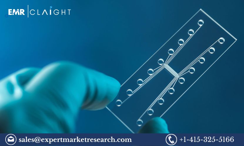 Read more about the article Global Microfluidics Market Size, Share, Trends, Industry, Report and Forecast 2024-2032