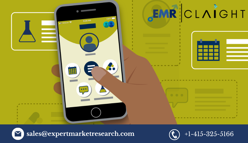 Read more about the article Patient Portal Market Size, Share, Report and Forecast 2024-2032