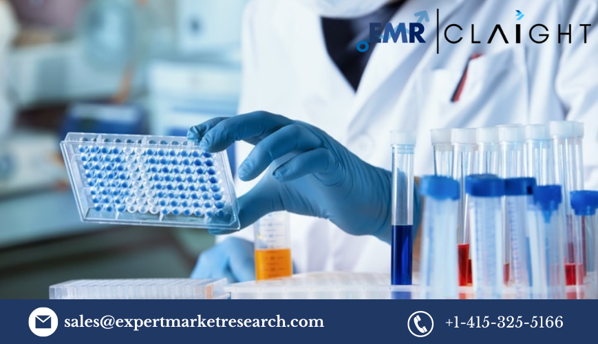 Read more about the article Pyrogen Testing Market Size, Share, Report and Forecast 2024-2032