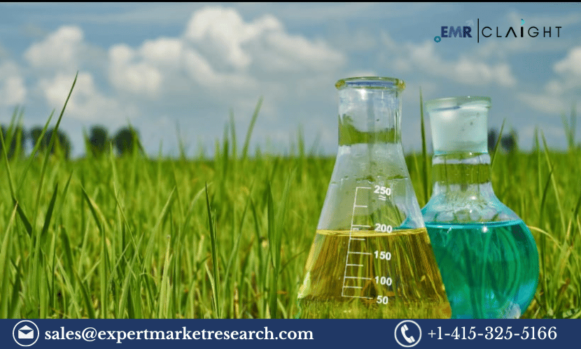 Read more about the article India Agrochemicals Market: Size, Share, Trends, Growth & Analysis | 2032