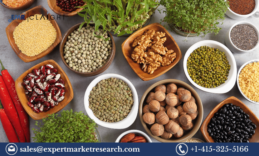 Read more about the article India Organic Food Market Size, Share, Growth & Report Trends By 2032