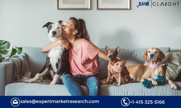 Read more about the article Chile Pet Care Market Report, Trends, Growth, Key Players, Share, Size, Forecast 2024-2032