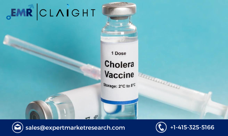 Read more about the article Cholera Vaccines Market Size, Share, Report and Forecast 2024-2032