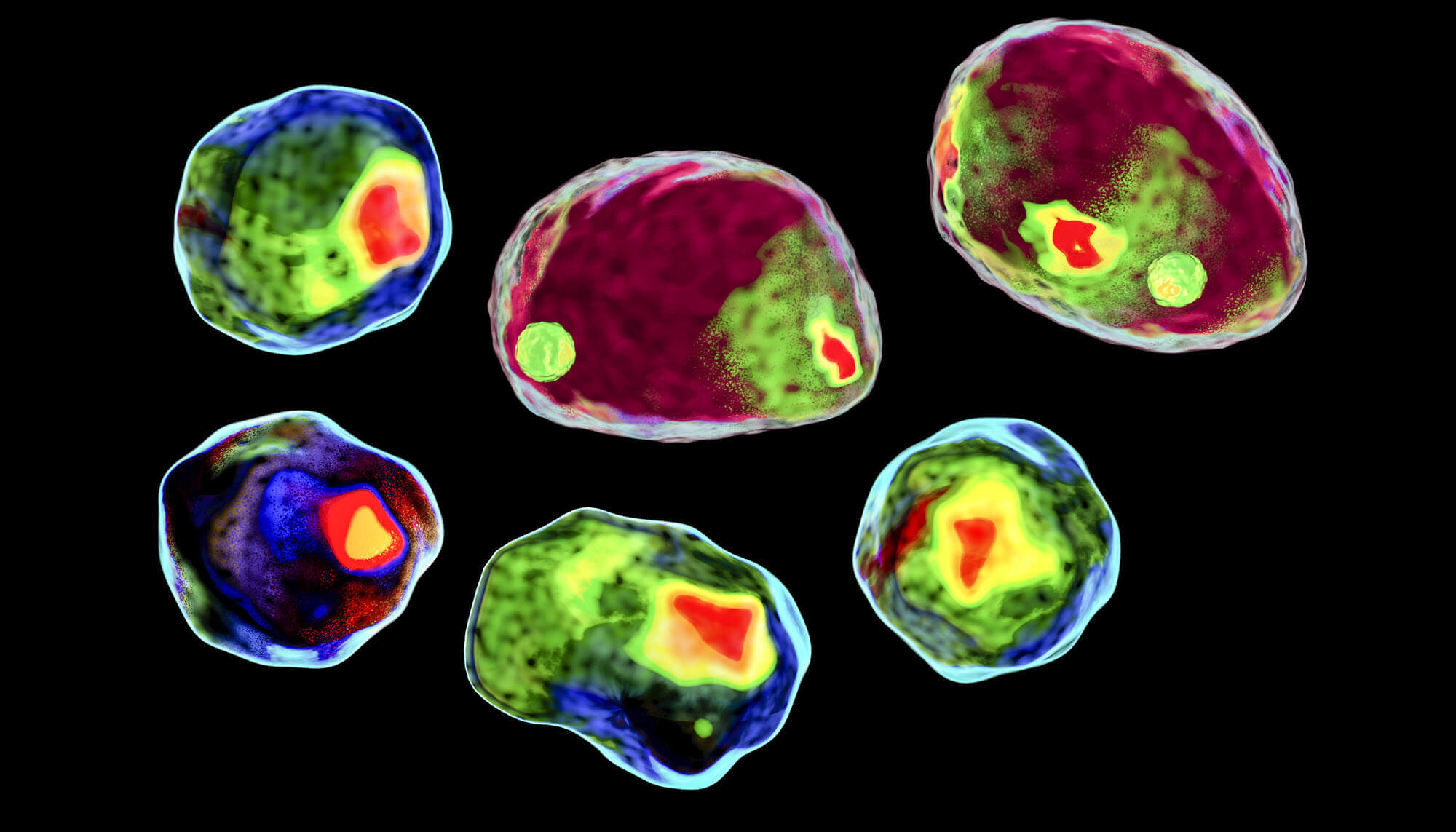 Read more about the article Global Flow Cytometry Market Size, Share, Trends, Growth, Report and Forecast 2024-2032