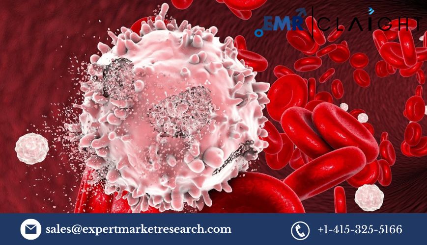 Read more about the article Immunomodulators Market Size, Share, Report and Forecast 2024-2032