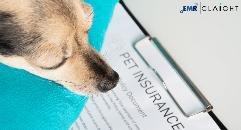 Read more about the article Pet Insurance Market and Forecast 2024-2032