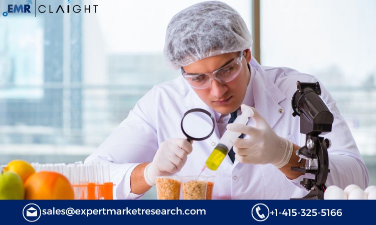 Read more about the article Global Photoresist and Photoresist Ancillaries Market Report, Trends, Growth, Key Players, Share, Size, Forecast 2024-2032