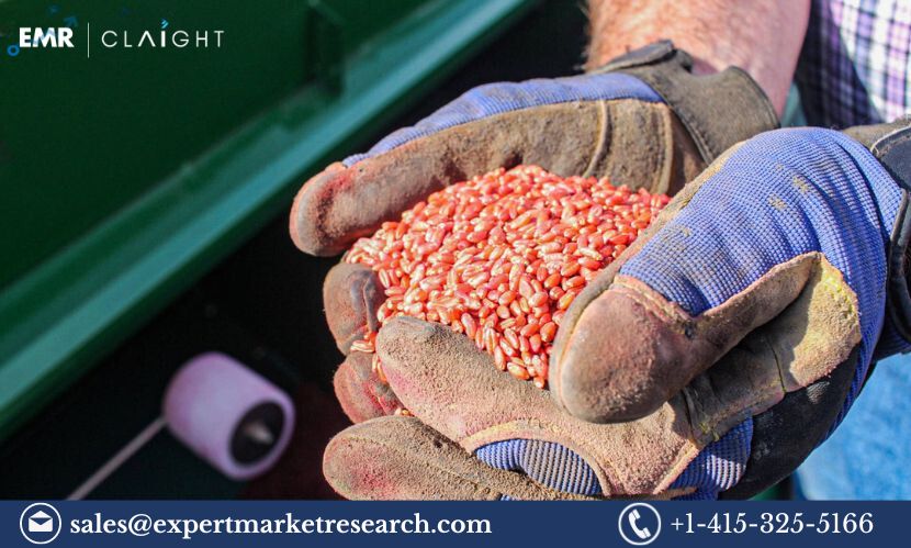 Read more about the article Seed Treatment Market Share, Size, Trends and Industry Report 2024-2032