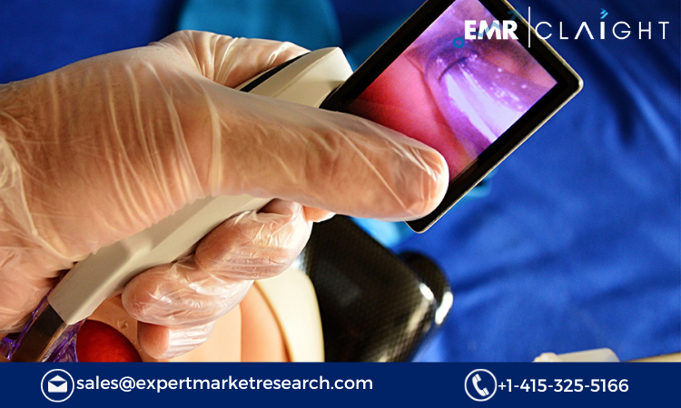 Read more about the article Video Laryngoscope Market Size, Share, Report and Forecast 2024-2032