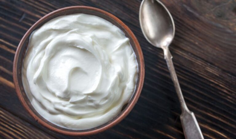 United States Yogurt Market