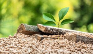 Wood Pellet Exports to Japan