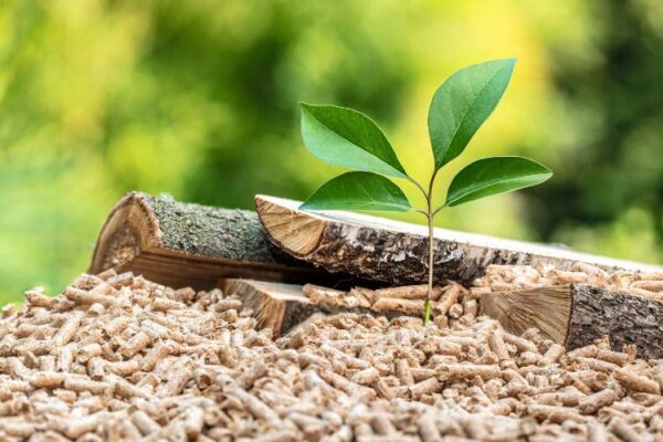 Wood Pellet Exports to Japan: A Guide for International Biomass Suppliers