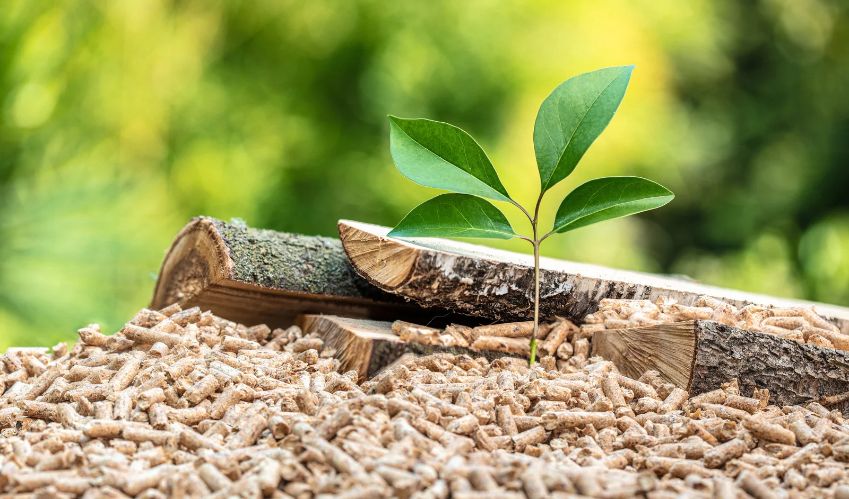 Wood Pellet Exports to Japan